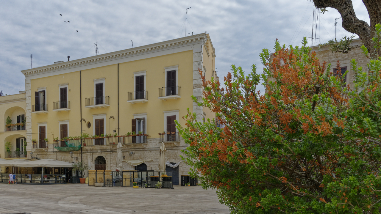20160824 115538•Bari•Apulia•Italy